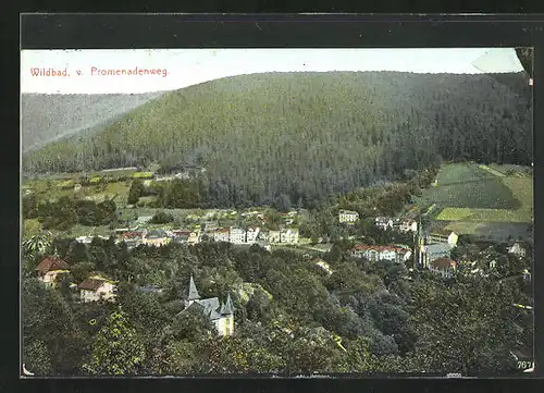 AK Wildbad, Panoramablick vom Promenadenweg