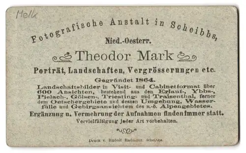 Fotografie Theodor Mark, Scheibbs, Ansicht Melk, Donaupartie mit Blick zum Stift Melk