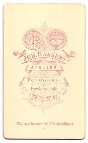 Fotografie Joh. Hansen, Nexö, Junge hinter Efeu stehend