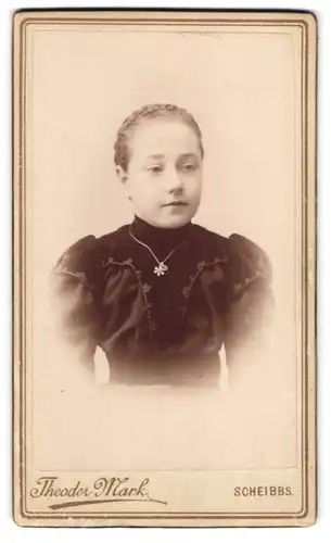 Fotografie Theodor Mark, Scheibbs /N.-Ö., Portrait junge Dame mit Flechtfrisur und Halskette
