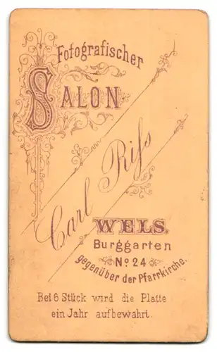 Fotografie Carl Riss, Wels, Burggarten 24, Portrait beleibte Dame im modischen Kleid