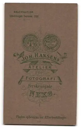 Fotografie Joh. Hansen, Nexö, Ferskesögade, Portrait beleibte Dame mit hochgestecktem Haar