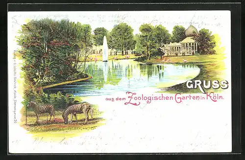Lithographie Köln, Zoologischer Garten mit Zebras