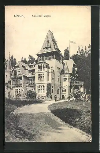 AK Sinaia, Castelul Pelisor