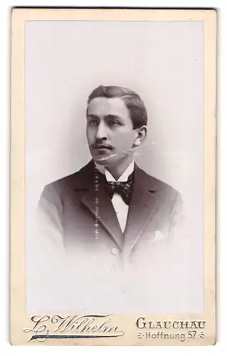 Fotografie L. Wilhelm, Glauchau, Hoffnung 57, Junger Mann mit Schnurrbart im Anzug mit Fliege