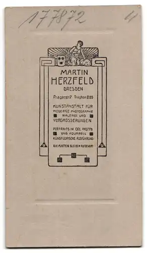 Fotografie Martin Herzfeld, Dresden, Pragerstrasse 7, Portrait junge Dame im hübschen Kleid