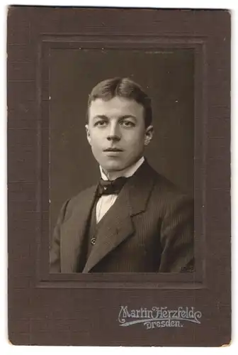 Fotografie Martin Herzfeld, Dresden, Portrait junger Herr im Anzug mit Fliege