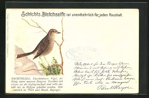 Lithographie Vogel, Nachtigall, Reklame für Schichts Bleichseife