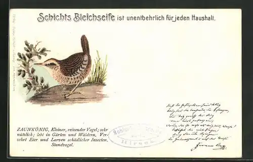 Lithographie Vogel, Zaunkönig, Reklame für Schichts Bleichseife, Medikament