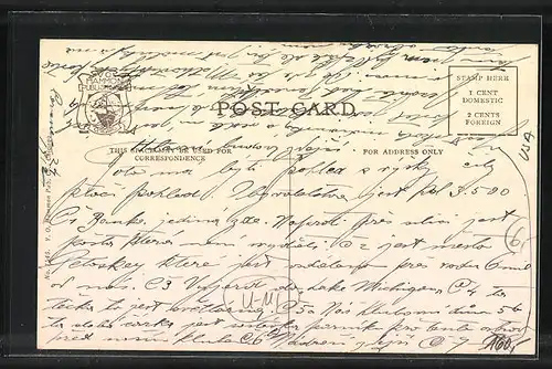 AK Springs, Michigan, Bird`s-Eye View