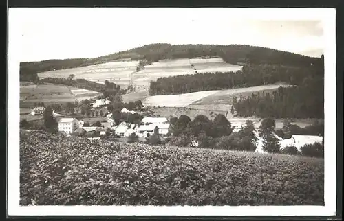 AK Dalecin /Tollstein, Totalansicht der Gemeinde