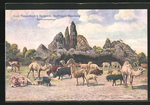 AK Hamburg-Stellingen, Carl Hagenbeck`s Tierpark, Heufressergehege