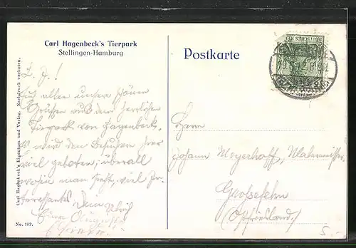 AK Hamburg-Stellingen, Carl Hagenbeck`s Tierpark, Heufressergehege