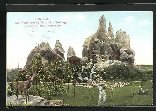 AK Hamburg-Stellingen, Carl Hagenbeck`s Tierpark, Gesamtansichtdes Steinbockfelsens