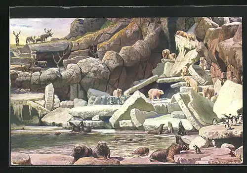 AK Hamburg-Stellingen, Carl Hagenbeck`s Tierpark, Nordland-Panorama