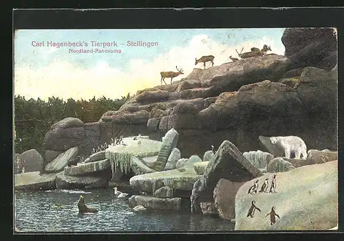 AK Stellingen, Carl Hagenbeck`s Tierpark, Nordland-Panorama