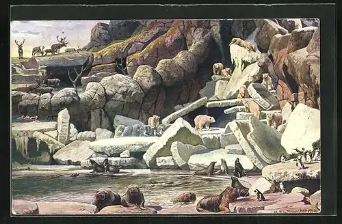 Künstler-AK Hamburg-Stellingen, Carl Hagenbeck`s Tierpark, Nordland-Panorama