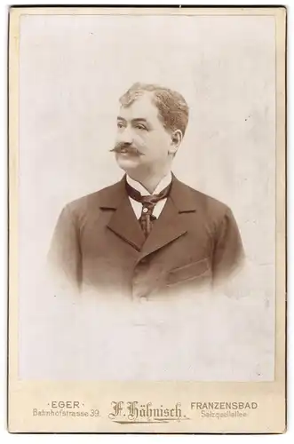 Fotografie Fritz Hähnisch, Eger, Bahnhofstrasse 39, Portrait stattlicher Herr im Anzug mit Moustache
