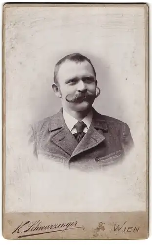 Fotografie Karl Schwarzinger, Wien, Diehlgasse 47, Portrait bürgerlicher Herr mit Schnauzbart