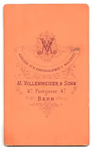 Fotografie M. Vollenweider & Sohn, Bern, Postgasse 47, Portrait Dame im Biedermeierkleid am Fenster, Studiokulisse