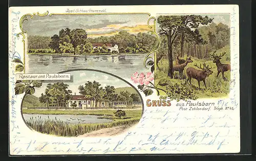 Lithographie Berlin-Grunewald-Paulsborn, Restaurant Paulsborn, Jagd-Schloss Grunewald