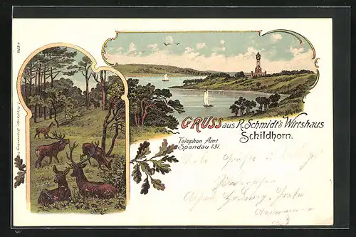Lithographie Berlin-Grunewald, R. Schmidts Gasthaus Schildhorn, Rotwild im Wald