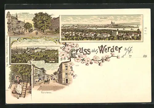 Lithographie Werder a. H., Thorstrasse, Schulhaus, Lindenblick, Totalansicht