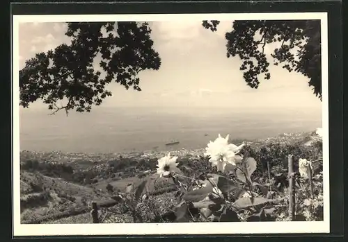 Foto-AK Die Stadt am Meer, Fotograf Hanns Tschira