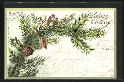 Duft-AK Waldes Grüsse!, Zwei Vögel sitzten auf einem Tannenzweig