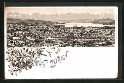 Lithographie Zürich, Totalansicht & Alpenblumen