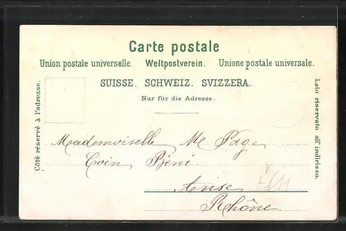 Lithographie Genève, Vue générale Rive Gauche, Rue du Mont Blanc, Monument national