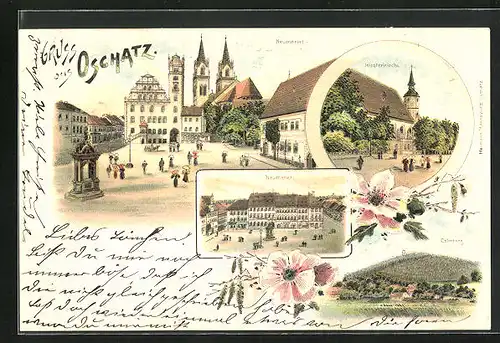 Lithographie Oschatz, Klosterkirche, Neumarkt, Colmberg