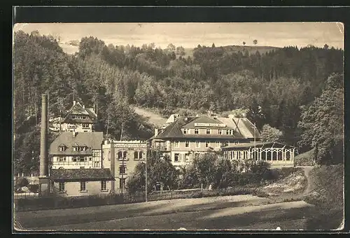 AK Triberg, Gasthof und Brauerei Martin