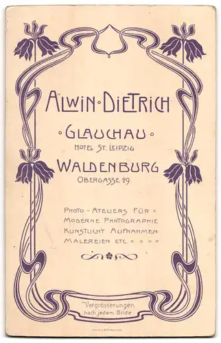 Fotografie Alwin Dietrich, Waldenburg, Obergasse 29, Portrait junger Herr im Anzug mit Stock