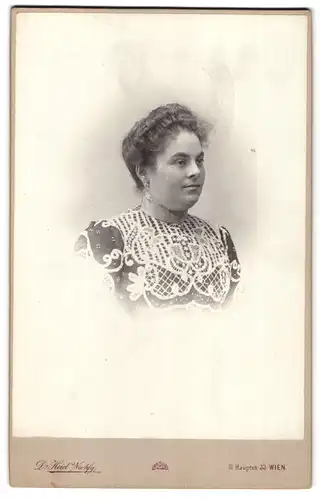 Fotografie Fr. H. Heid`s Nachfg., Wien, Hauptstrasse 33, Portrait junge Dame in hübscher Kleidung