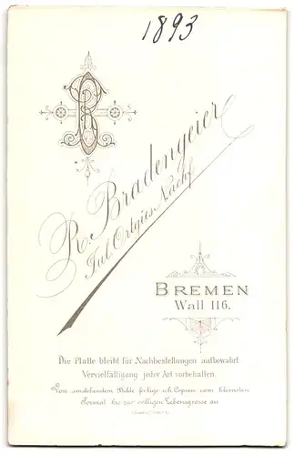 Fotografie R. Bradengeier, Bremen, Wall 116, Portrait junge Dame im Kleid mit Kragenbrosche