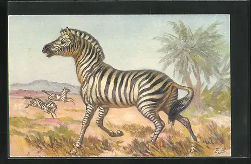 Künstler-AK Zebras in Savanne