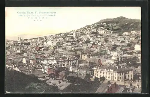 AK Vladivostock, Birds Eye View