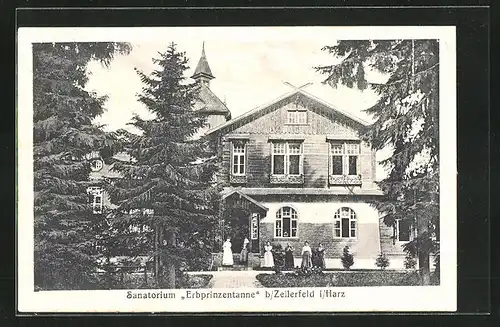 AK Zellerfeld i. Harz, Sanatorium Erbprinzentanne