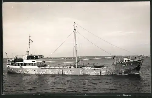 Fotografie Frachtschiff Marie auf See