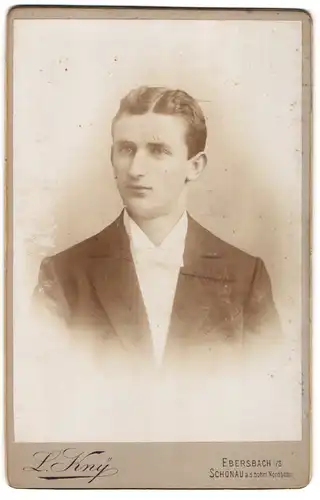 Fotografie L. Kny, Ebersbach i /S., Portrait junger Herr im Anzug mit Fliege