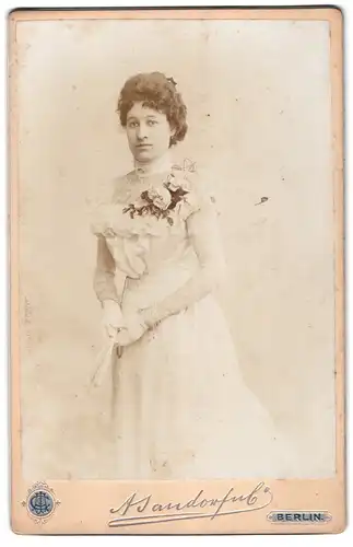 Fotografie A. Jandorf & Co., Berlin, Belle-Alliance-Strasse 1, Portrait junge Dame im hübschen Kleid mit Fächer