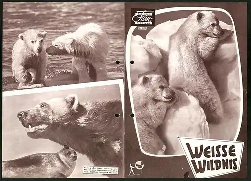 Filmprogramm DNF Nr. 4490, Weisse Wildnis, Regie: James Algar, Dokumentarfilm, Walt Disney