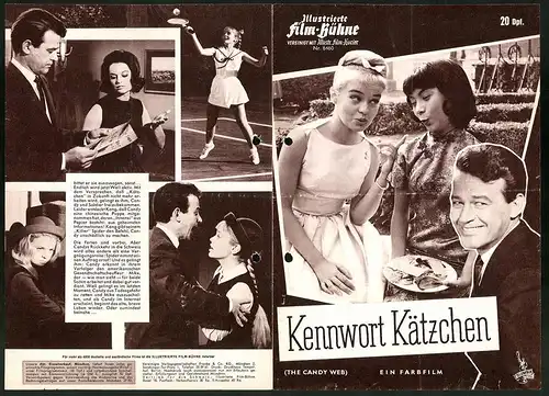 Filmprogramm IFB Nr. 6460, Kennwort Kätzchen, Murray Hamilton, Joyce Taylor, Regie: William Castle
