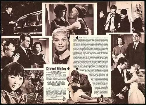 Filmprogramm IFB Nr. 6460, Kennwort Kätzchen, Murray Hamilton, Joyce Taylor, Regie: William Castle