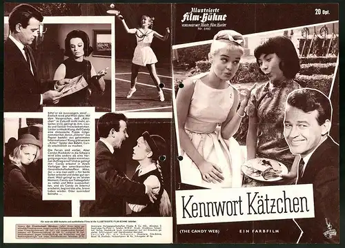 Filmprogramm IFB Nr. 6460, Kennwort Kätzchen, Murray Hamilton, Joyce Taylor, Regie: William Castle