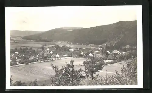 AK Nespeky, Totalansicht aus der Vogelschau