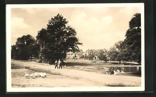 AK Trebiz, Blick über den Teich zum Ort