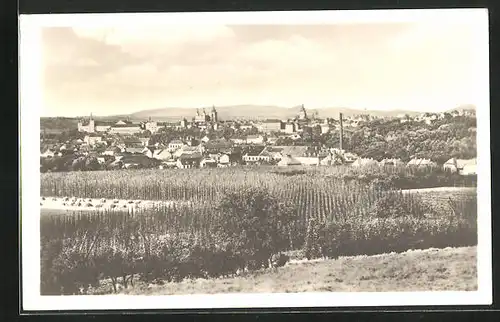 AK Zatec / Saaz, Totalansicht aus der Vogelschau