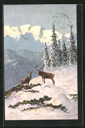 Künstler-AK M. Müller jun.: Hirsch im winterlichen Gebirge